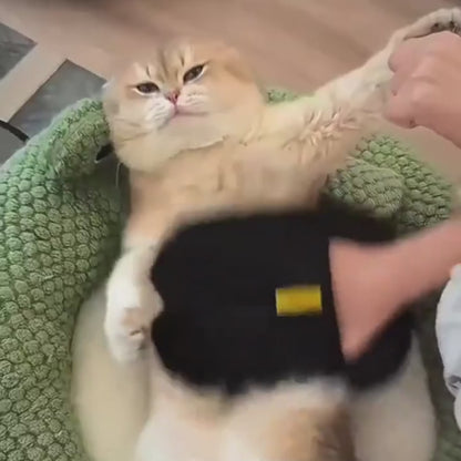 Pet Hair Remover Gloves
